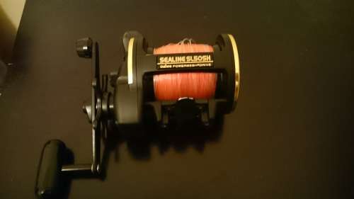 Daiwa Sealine SL50SH